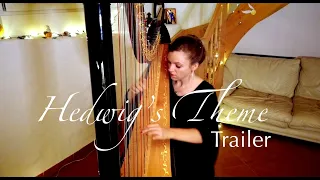 Hedwig's theme on the harp: Appetizer