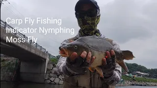 Carp Fly Fishing / Indicator Nymphing / Moss Fly 잉어 플라이 낚시