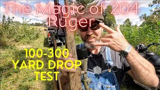 The Magic of 204 Ruger - How flat does it shoot?