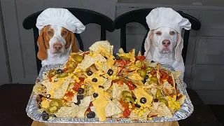 Chef Dog Makes Nachos: Funny Dogs Maymo & Potpie Cooking Nacho Recipe