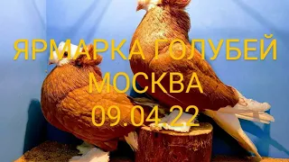 09 04 22 МОСКВА. ЯРМАРКА ГОЛУБЕЙ