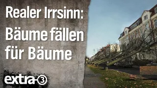 Realer Irrsinn: Bäume fällen für neue Bäume | extra 3 | NDR