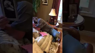 Mourning Father Welcomes New Dog Into Family