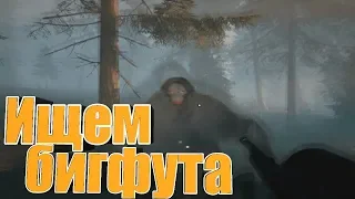 Пытаюсь поймать бигфута в BigFoot 3.0