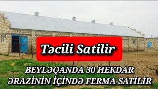 BEYLƏQANDA TƏCİLİ 30 HEKTAR ƏRAZİNİN İÇİNDƏ FERMA SATİLİR #ferma#satilir#təcili