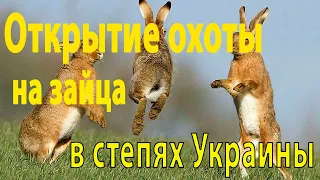 Открытие охоты на зайца. Котел на зайца с птичьего полета.