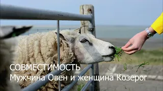 Совместимость мужчины Овна и женщины Козерога