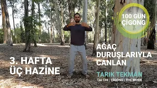 Ağaç Duruşlarıyla Canlan, 100 Gün Çigong, 3. Hafta