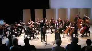 Atterberg - Suite for violin, viola and string orchestra - Stefaan De Rycke - Liesbeth Lambrecht