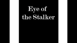 Moment of Truth: Eye of the Stalker (1995)