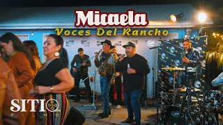 Voces Del Rancho - Micaela (En Vivo)