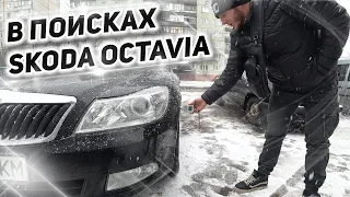 Турне по Украине в поисках Skoda Octavia A5. Купил ли что-то?