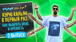 Курю кальян в первый раз. Как выбрать вкус и крепость?