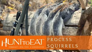 How to Process and Clean A Squirrel