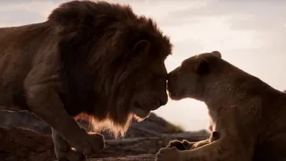 Lion King 2019 - Circle of life (Kazakh) Subs & Trans