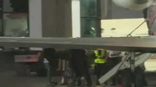 Plane carrying Karol G makes emergency landing at Van Nuys Airport