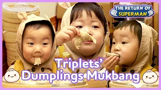 [Triplets' House] Legendary dumplings mukbang of Triplets 🥟🥟🥟 | KBS WORLD TV