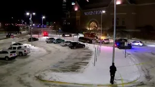 5 arrested in connection to fatal shooting inside Mall of America