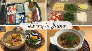 make 6 veggies side dishes for a better meal | housewife daily living in japan