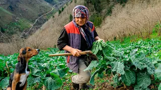 Happy Family in the Village | Documentary