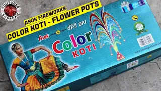 COLOR KOTI FLower Pots from Asok Fireworks - Diwali  Anar Testing