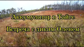 Жизнь в ТАЙГЕ. Осенние каникулы 2020  /4 серия/