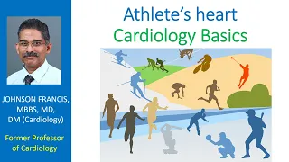 Athlete’s heart – Cardiology Basics