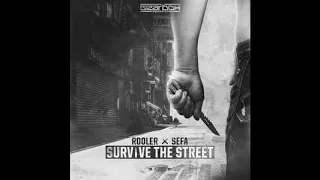 Rooler & Sefa (2) ‎– Survive The Street