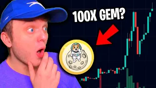 This Altcoin Could 100x Soon... (Is Starpup The Next Shiba Inu Coin?)