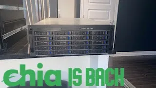 CHIA’s BACK ON THE MENU BOYS! subscribe for full video!