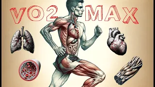 VO2max : Définition, Limitations & Entraînement