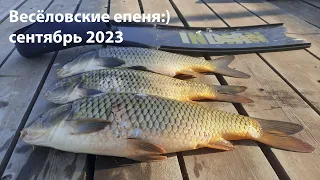 Весёловские епеня:) сентябрь 2023 подводная охота 2023 ночная подводная охота 2023