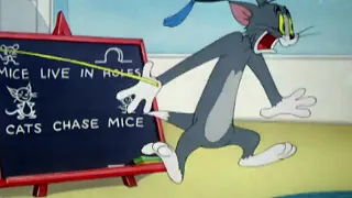 Tom and Jerry, teacher tom