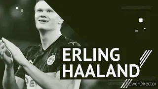 Player Profile- Erling B Haaland