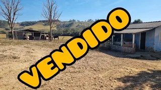 SÍTIO DE 3.9 ALQUERES COM MUITA ÁGUA E TODO PLANO.