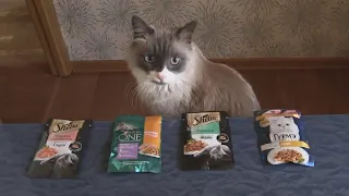 Кот сам выбирает корм. Второй тест