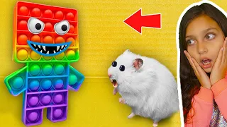 МОЙ ХОМЯК УМЕР! ЭВОЛЮЦИЯ ХОМЯКА Максимальный ЛЕВЕЛ - Hamster Maze NOOB PRO HACKER Валеришка