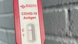 Biozek Antigen COVID-19 Gargle Test Step by Step Instructions