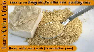 Home made yeast in tamil |Dry Yeast| Liquid Yease in | How to make yeast at home