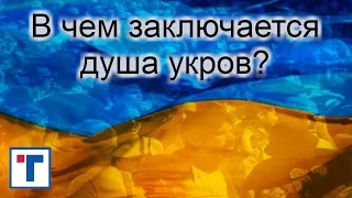 В чем заключается душа укров? ГлавТема