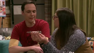 The Big Bang theory : Sheldon and Amy's wedding gift