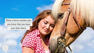 5 Ways Your Horse Says “I Love You” | Mittens and Max