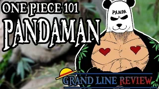 The Pandaman Explained (One Piece 101)