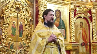 О воскрешении сына Наинской вдовы. Проповедь священника Стефана Бажкова