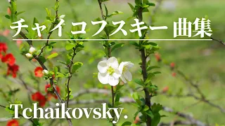 【名曲クラシック】チャイコフスキー の名曲から10曲セレクトしました♪作業用BGM  Tchaikovsky