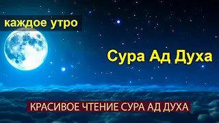 🎧КАЖДОЕ УТРО. Сура Ад Духа. Красивое Чтение Сура Духа