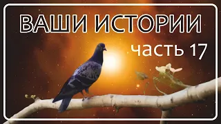 Жизнь после Cмерти | Ваши Истории - часть 17