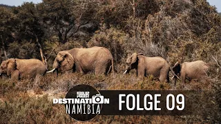 Destination Namibia 🐆 09 - Wilde Tiere und Offroad im Paradies! 📷 Reisefotografie Doku -Krolop&Gerst