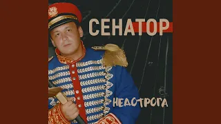 Недотрога