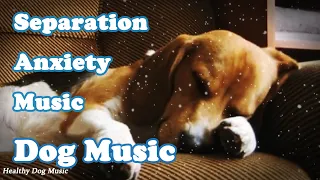 Soothing Music to Relax Your Dog! 🐶 Calm Your Dog and Combat Anxiety!
